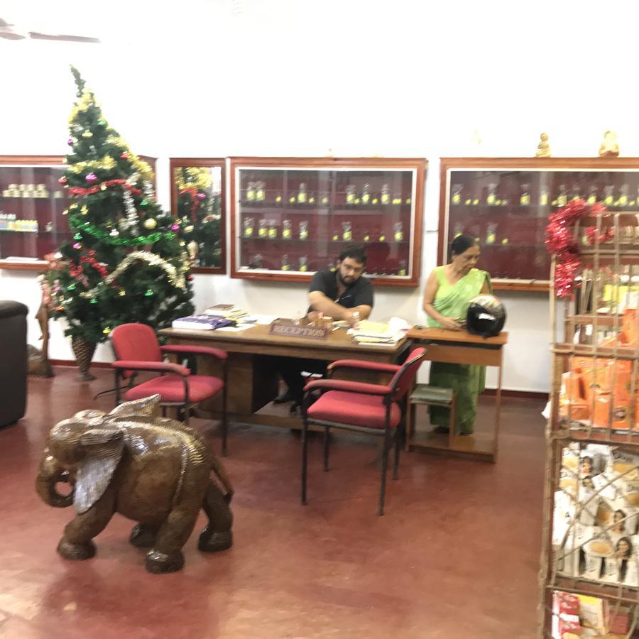Srilanka Ayurveda Hotel Хикадува Екстериор снимка